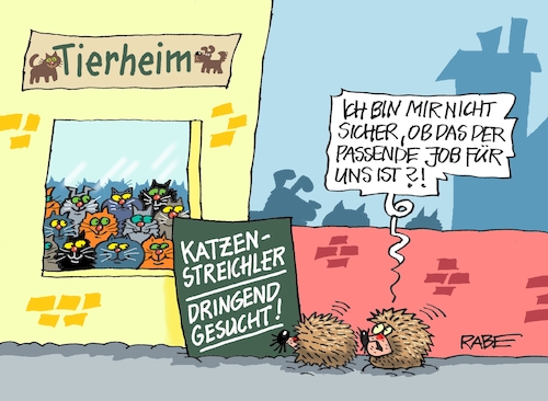 Katzenstreichler Katzenstreichler