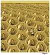 Cartoon: Its Friday (small) by Marcelo Rampazzo tagged workers,friday,bee,capitalism